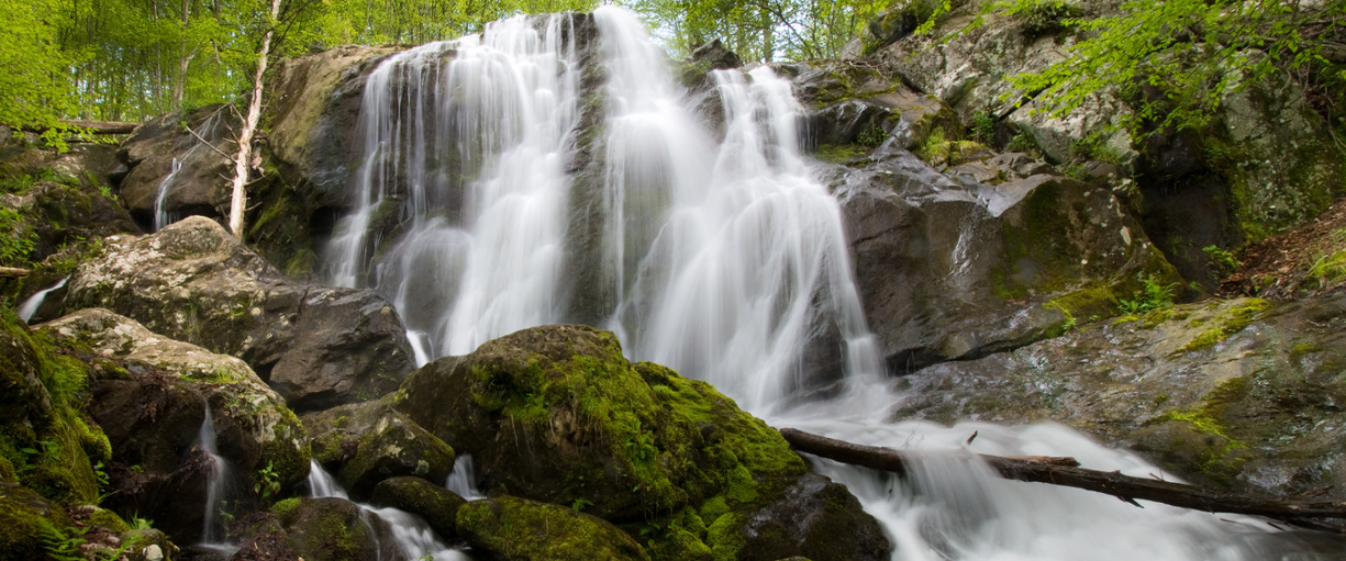 First-Timer’s Guide to Asheville: Highlights Without the Rush